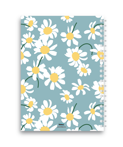 Agenda FLO 67